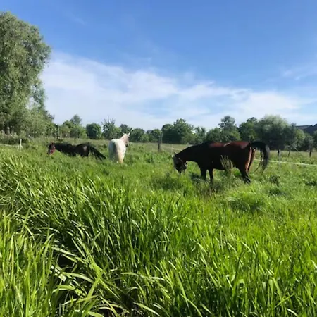 Apartman Schoene Zeit Auf Dem Libellenhof Markische Heide