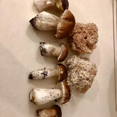 Schoene Zeit Auf Dem Libellenhof Apartman