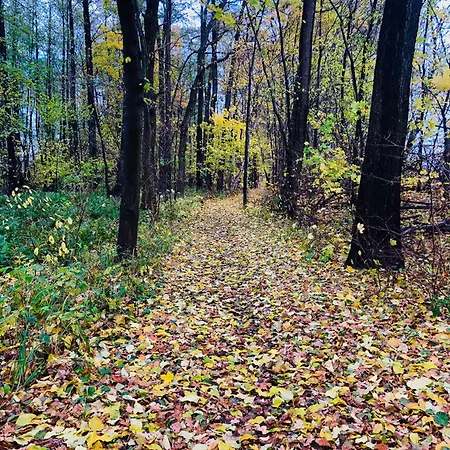 Schoene Zeit Auf Dem Libellenhof Markische Heide