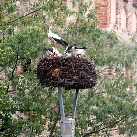 Schoene Zeit Auf Dem Libellenhof Appartement Markische Heide