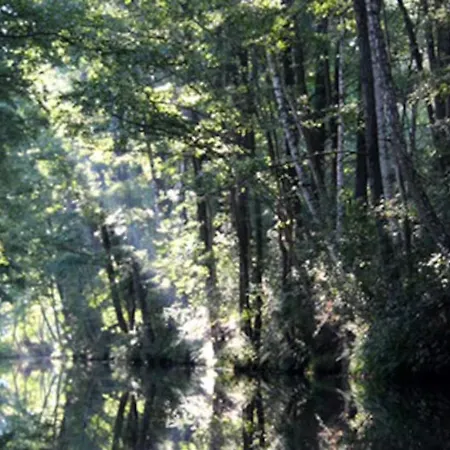 Schoene Zeit Auf Dem Libellenhof * Markische Heide