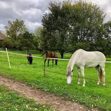 Schoene Zeit Auf Dem Libellenhof Appartement Markische Heide