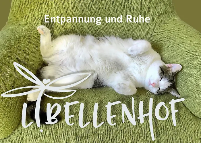 Schoene Zeit Auf Dem Libellenhof *