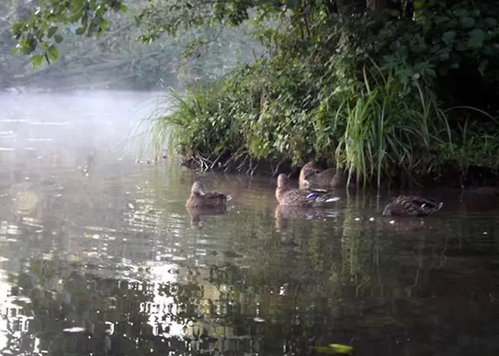 Schoene Zeit Auf Dem Libellenhof Apartman *