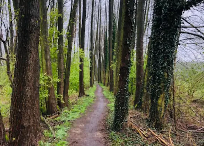Schoene Zeit Auf Dem Libellenhof Apartman *