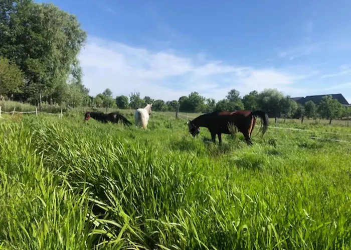 Apartman Schoene Zeit Auf Dem Libellenhof Markische Heide