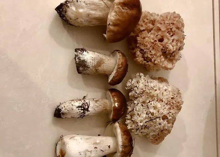 Schoene Zeit Auf Dem Libellenhof Apartman