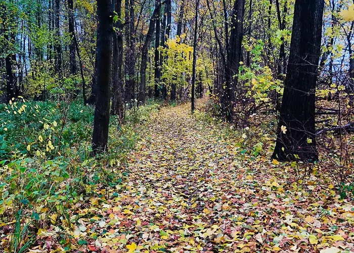 Schoene Zeit Auf Dem Libellenhof Markische Heide
