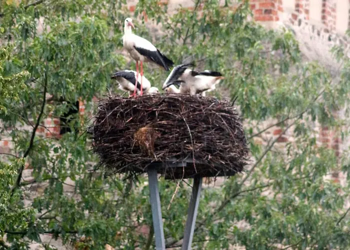 Schoene Zeit Auf Dem Libellenhof Apartman Markische Heide