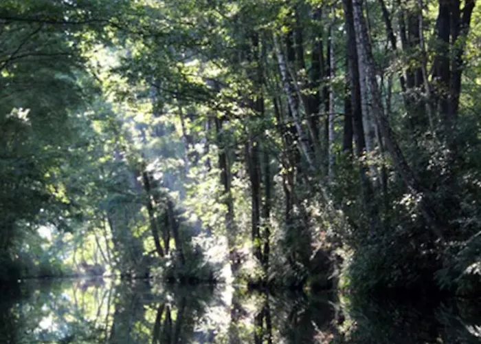 Schoene Zeit Auf Dem Libellenhof * Markische Heide