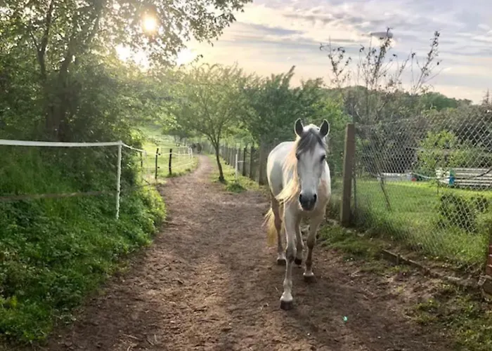 Apartman Schoene Zeit Auf Dem Libellenhof *
