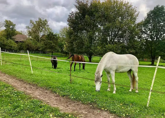 Schoene Zeit Auf Dem Libellenhof Apartman Markische Heide