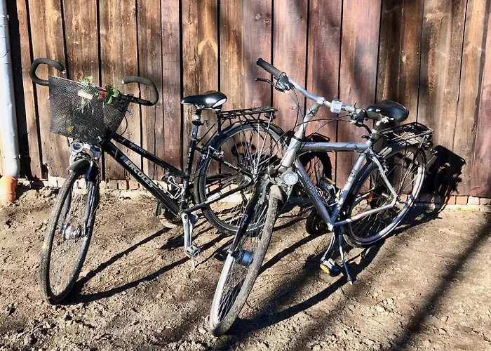 Schoene Zeit Auf Dem Libellenhof * Markische Heide